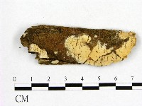 登錄號:F0009237藏品圖，第1張