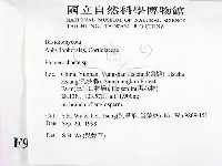 顯絲菌屬藏品圖，第2張