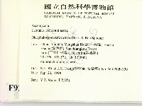 登錄號:F0009239藏品圖，第2張