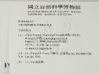 栓菌屬藏品圖，第2張