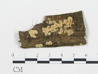 登錄號:F0009241藏品圖，第1張