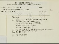 登錄號:F0009242藏品圖，第2張