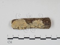 登錄號:F0009242藏品圖，第1張