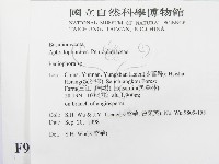 筍殼菌屬藏品圖，第2張