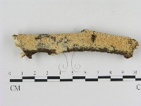 登錄號:F0009244藏品圖，第1張