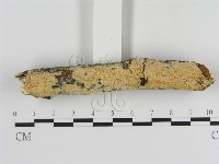 登錄號:F0009244藏品圖，第3張