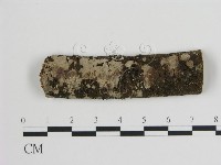 登錄號:F0009246藏品圖，第1張