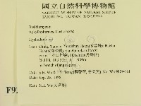 登錄號:F0009247藏品圖，第2張