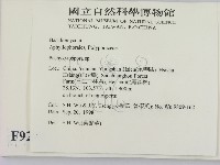 登錄號:F0009248藏品圖，第2張