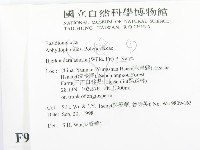 煙管菌藏品圖，第2張