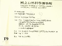 登錄號:F0009250藏品圖，第2張