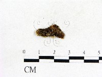 登錄號:F0009250藏品圖，第3張