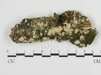 登錄號:F0009251藏品圖，第1張