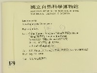 絲齒菌屬藏品圖，第2張