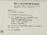 登錄號:F0009257藏品圖，第2張