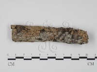 登錄號:F0009257藏品圖，第1張