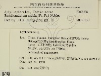 登錄號:F0009258藏品圖，第2張