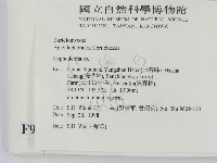 絲皮菌屬藏品圖，第2張