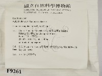 登錄號:F0009261藏品圖，第2張