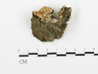 登錄號:F0009262藏品圖，第4張