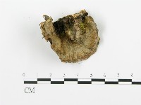 登錄號:F0009262藏品圖，第5張