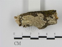 登錄號:F0009264藏品圖，第3張