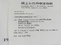 登錄號:F0009266藏品圖，第2張