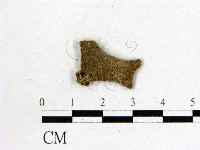 毛木耳藏品圖，第3張