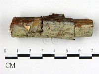 登錄號:F0009269藏品圖，第1張