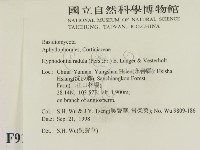 登錄號:F0009271藏品圖，第2張