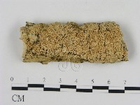 登錄號:F0009271藏品圖，第1張