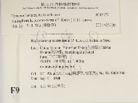 登錄號:F0009277藏品圖，第2張