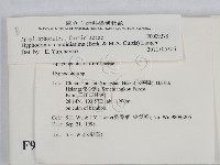 登錄號:F0009278藏品圖，第2張