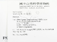 阿太菌屬藏品圖，第2張