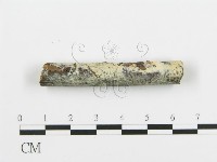 阿太菌屬藏品圖，第3張