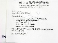 顯絲菌屬藏品圖，第2張