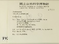 登錄號:F0009284藏品圖，第2張