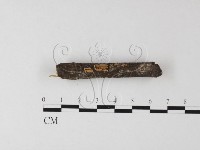 登錄號:F0009284藏品圖，第3張