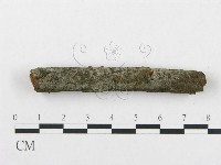 登錄號:F0009285藏品圖，第3張