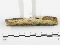 登錄號:F0009286藏品圖，第1張