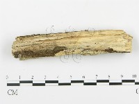 登錄號:F0009286藏品圖，第3張