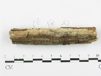 登錄號:F0009286藏品圖，第4張