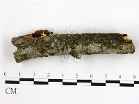 登錄號:F0009287藏品圖，第3張