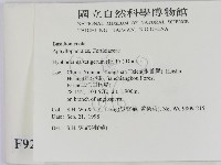 剛毛絲皮菌藏品圖，第2張