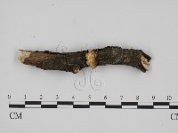 登錄號:F0009290藏品圖，第1張