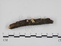 登錄號:F0009290藏品圖，第3張