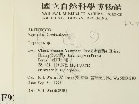 登錄號:F0009291藏品圖，第2張