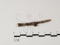 登錄號:F0009291藏品圖，第1張