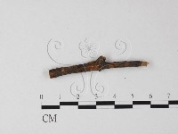 登錄號:F0009291藏品圖，第3張