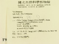 登錄號:F0009292藏品圖，第2張